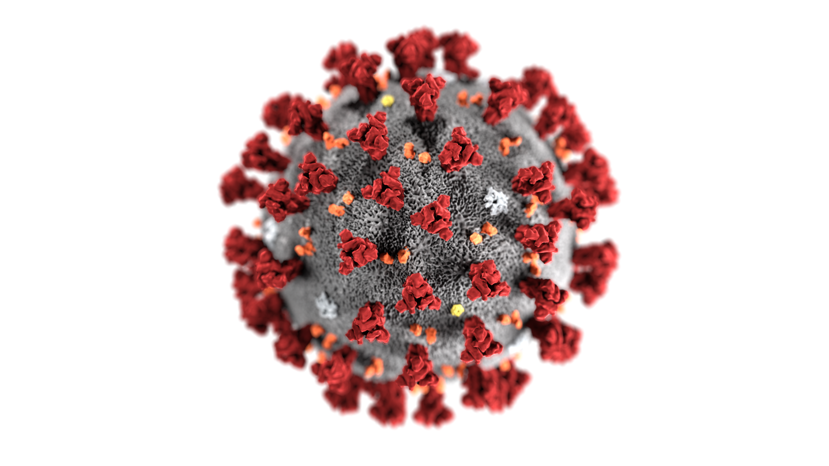 coronavirus
